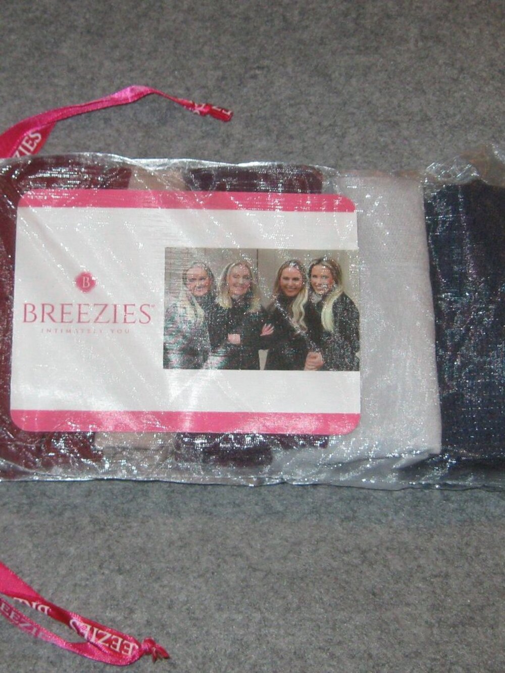 Breezies 5-Pack Sparkle Stripe Seamless Brief 1X Merlot